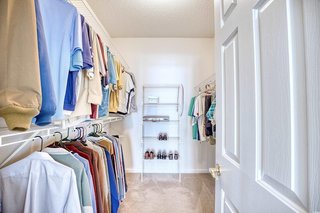 walk in closet with carpet flooring