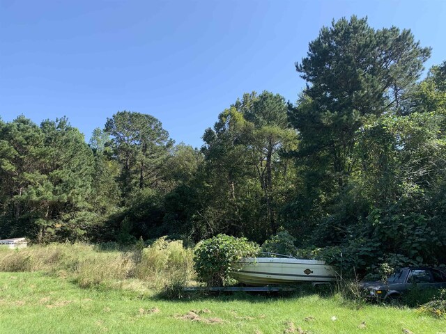 244 Bitmore Dr, Whiteville, NC 28472 - photo 8