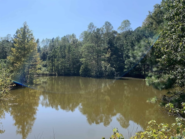 244 Bitmore Dr, Whiteville, NC 28472 - photo 10