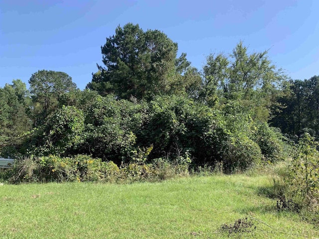 244 Bitmore Dr, Whiteville, NC 28472 - photo 16