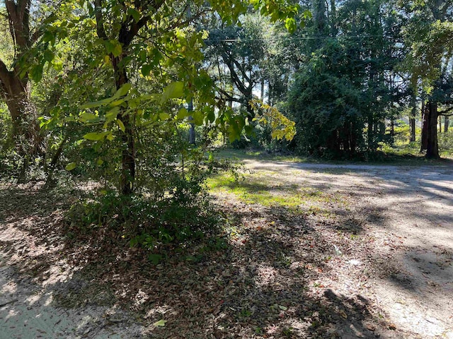 Listing photo 2 for LOT6 H C Lewis Ln, North Myrtle Beach SC 29582