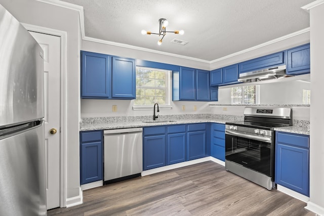 kitchen with sink, exhaust hood, dark wood-type flooring, and stainless steel appliances