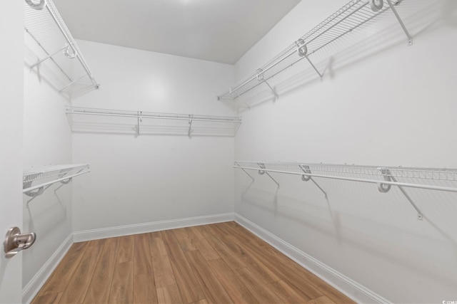 spacious closet featuring wood finished floors