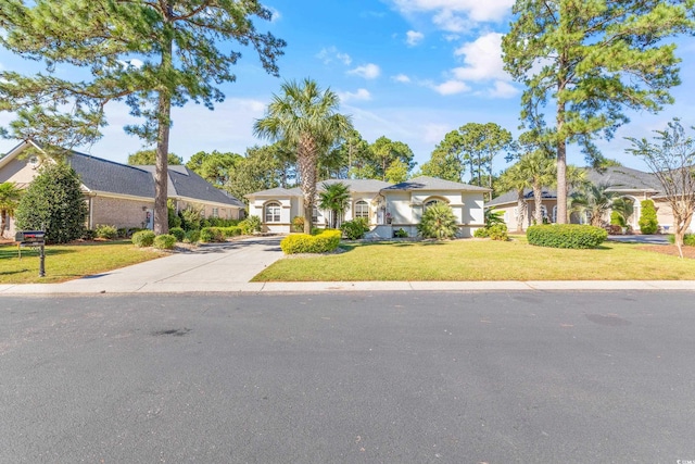 ranch-style home with a front yard