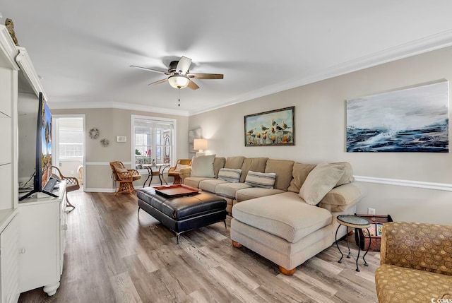 living room with ceiling fan, light hardwood / wood-style flooring, and ornamental molding