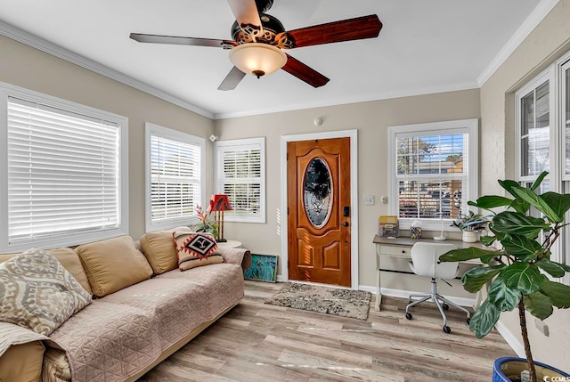 interior space featuring ornamental molding, ceiling fan, a wealth of natural light, and light hardwood / wood-style floors