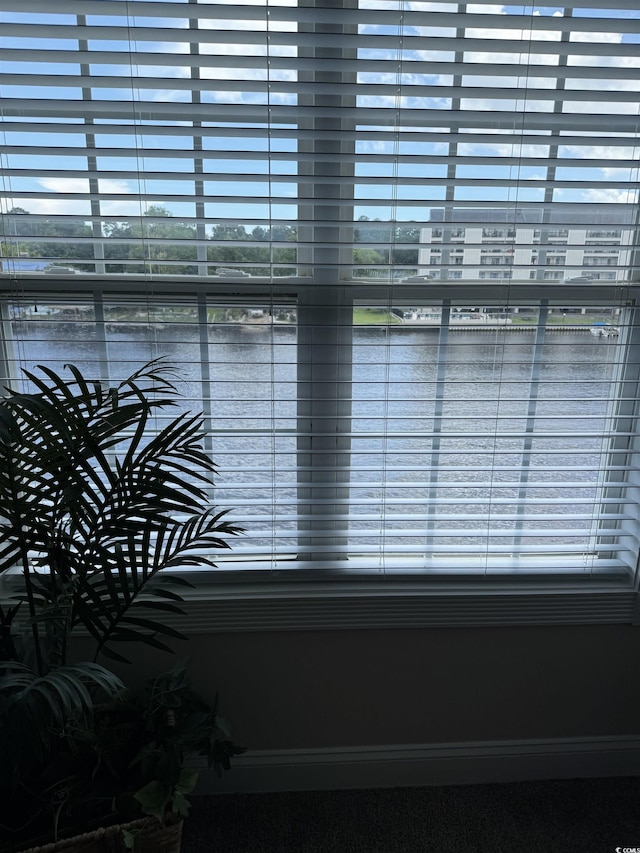 1538 Lanterns Rest Rd Unit 303, Myrtle Beach, SC 29579 - detailed view of a nearby body of water