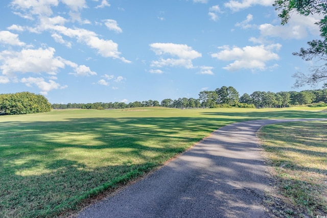 view of home's community with a lawn