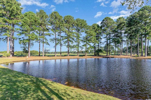 view of water feature