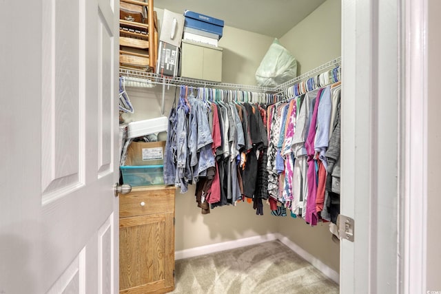 walk in closet featuring carpet