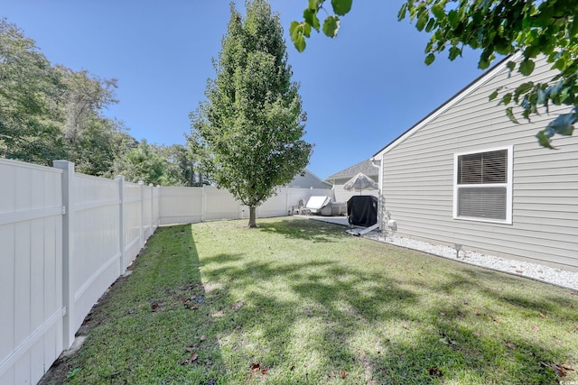 view of yard featuring a patio area