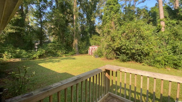 view of yard featuring a storage shed