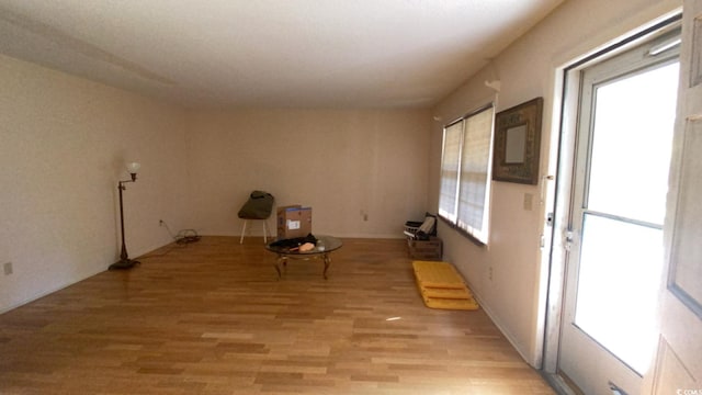 interior space with light wood-type flooring