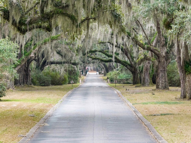 view of asphalt street with curbs