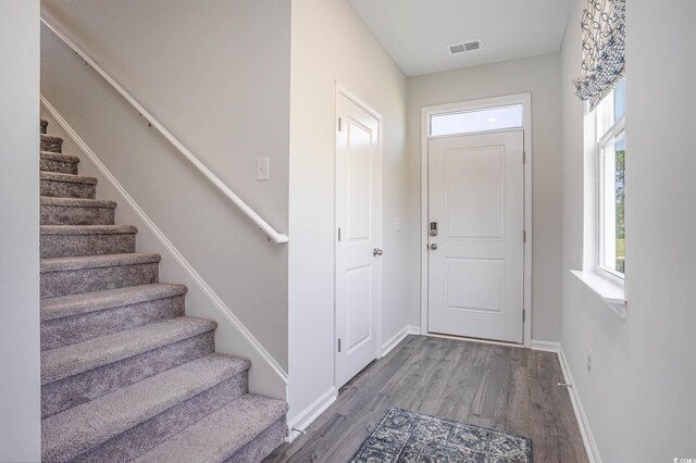 entrance foyer featuring a wealth of natural light and hardwood / wood-style flooring