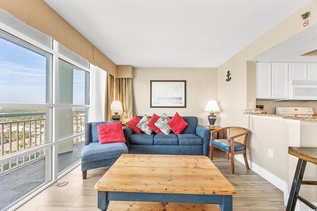 2504 N Ocean Blvd Unit 1736, Myrtle Beach, SC 29577 - living area with light wood-style flooring, a textured ceiling, and baseboards