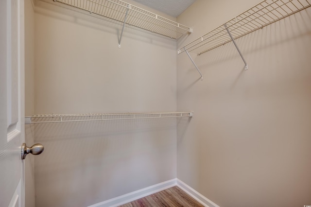 spacious closet with hardwood / wood-style floors