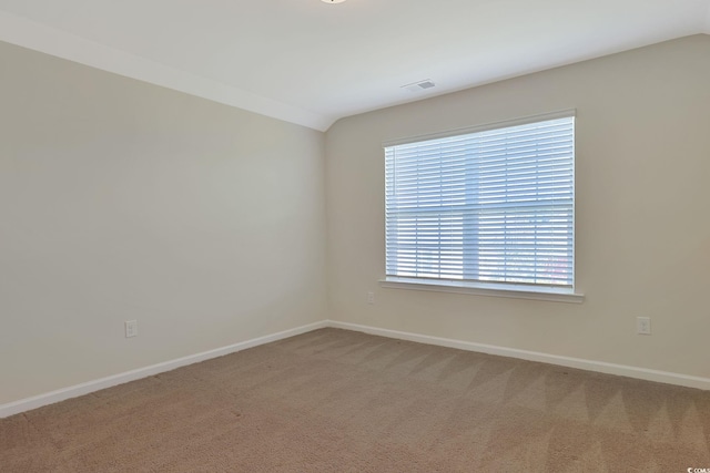 carpeted spare room with a healthy amount of sunlight