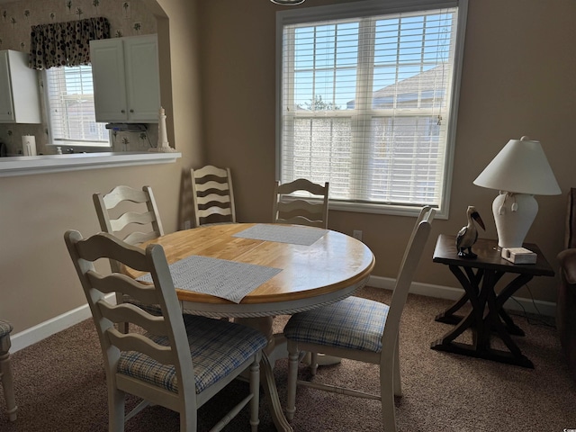 dining space featuring carpet floors