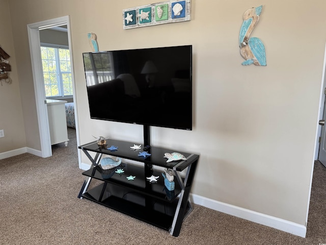 5801 Oyster Catcher Dr Unit 1531, North Myrtle Beach, SC 29582 - detailed view of carpet floors and baseboards
