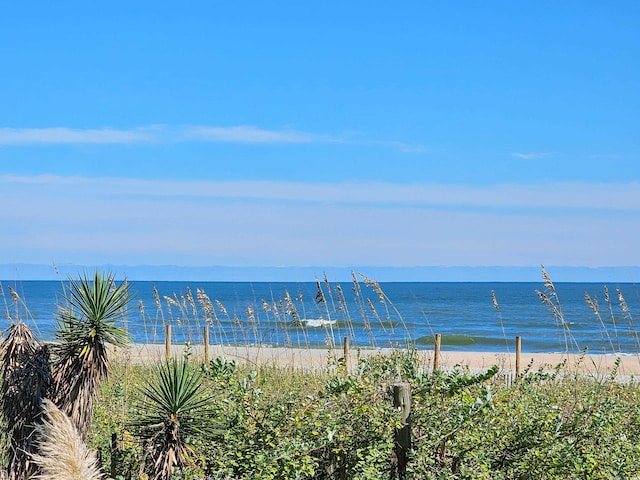 water view with a view of the beach