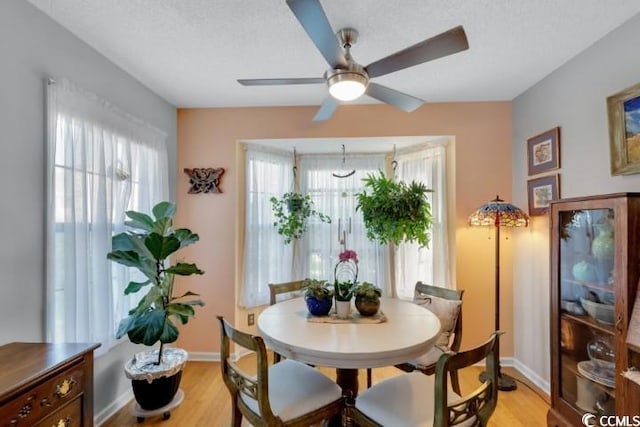 dining space featuring light hardwood / wood-style floors, a textured ceiling, a wealth of natural light, and ceiling fan