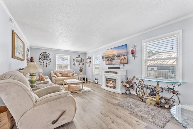 living room featuring light hardwood / wood-style floors, ornamental molding, plenty of natural light, and a textured ceiling