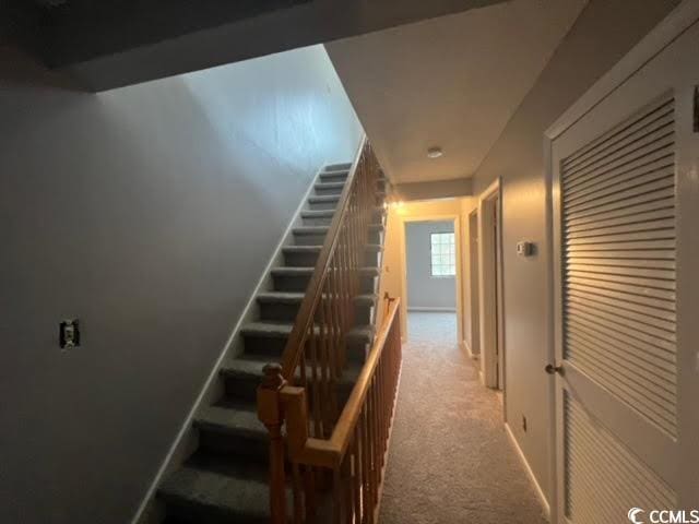 stairs featuring carpet