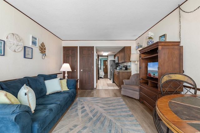 200 76th Ave N Unit 1106, Myrtle Beach, SC 29572 - living room featuring light wood-type flooring