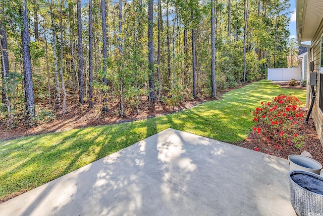 view of yard featuring a patio area