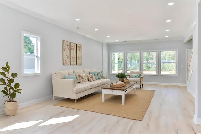 living room with light hardwood / wood-style flooring and crown molding