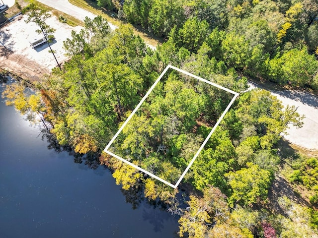 309 Cypress Flat Ct, Conway SC, 29526 land for sale