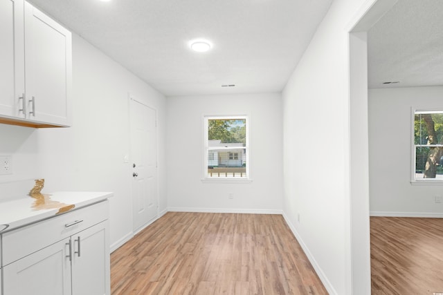 interior space with a textured ceiling, light wood-type flooring, and a wealth of natural light