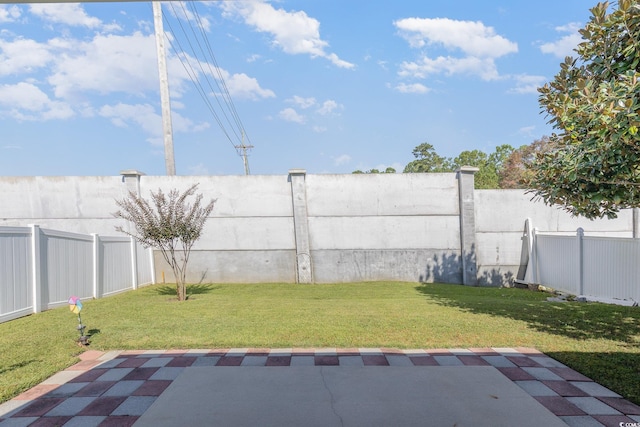 view of yard featuring a patio