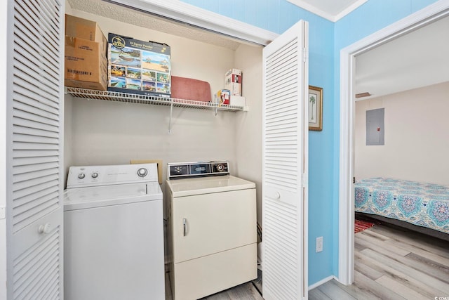 laundry room featuring electric panel, light hardwood / wood-style flooring, and separate washer and dryer