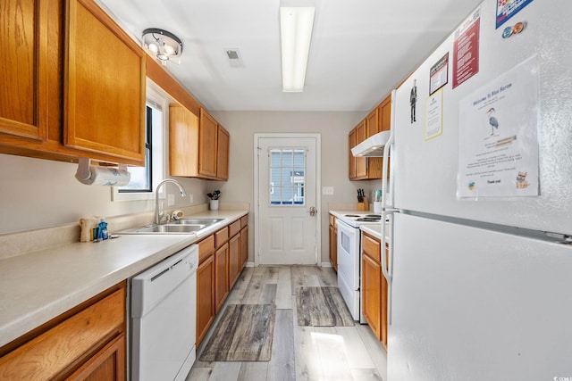 kitchen featuring under cabinet range hood, white appliances, brown cabinets, and a sink