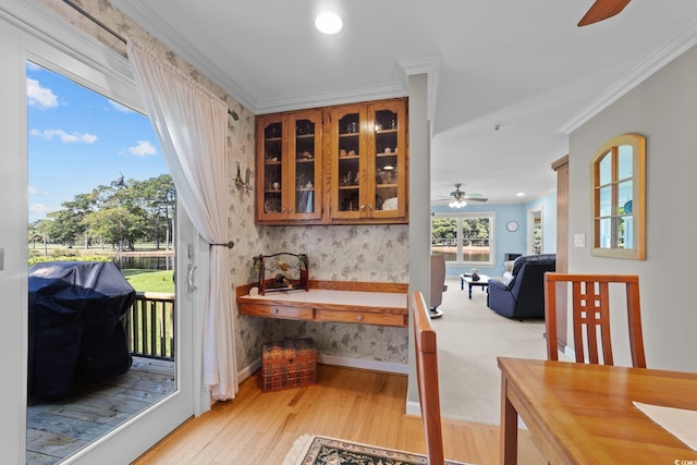 interior space featuring crown molding, ceiling fan, and light wood-type flooring