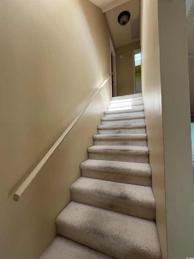 stairway featuring vaulted ceiling and carpet flooring