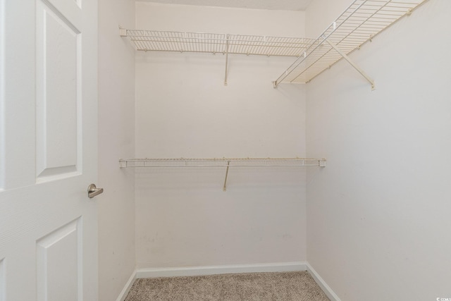 walk in closet with carpet