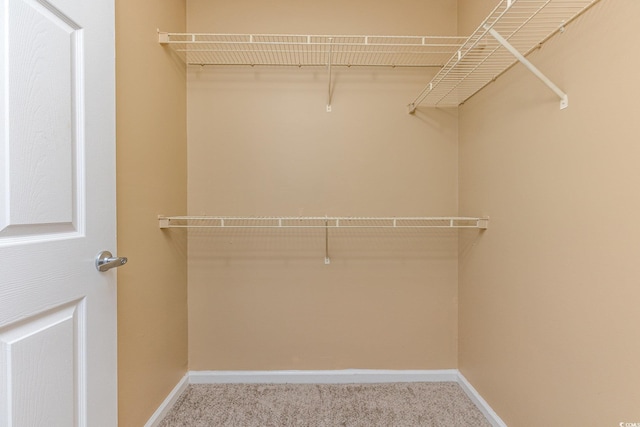 walk in closet featuring light colored carpet