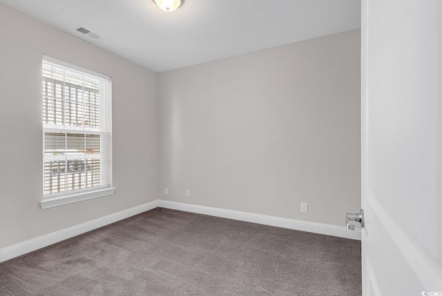 spare room featuring a wealth of natural light and carpet