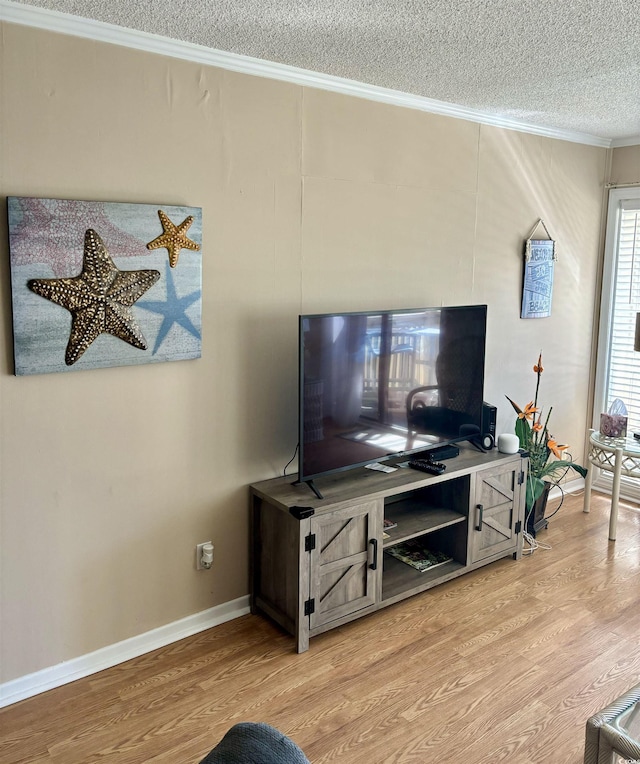 living area featuring ornamental molding, baseboards, a textured ceiling, and light wood finished floors