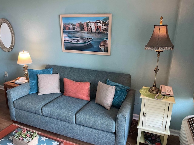 living room featuring dark hardwood / wood-style flooring