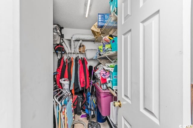 view of walk in closet