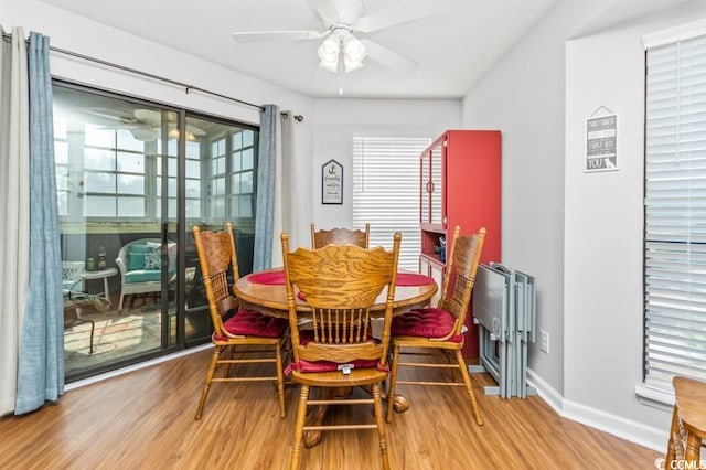 dining room featuring a healthy amount of sunlight, ceiling fan, and wood finished floors
