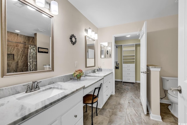 bathroom with vanity, toilet, and a shower with shower curtain