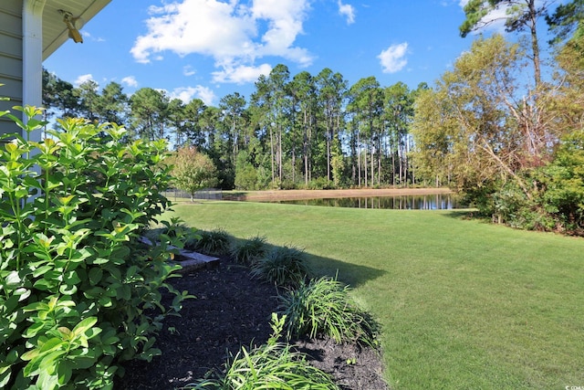 view of yard with a water view