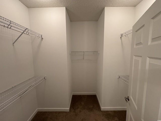 walk in closet with dark colored carpet