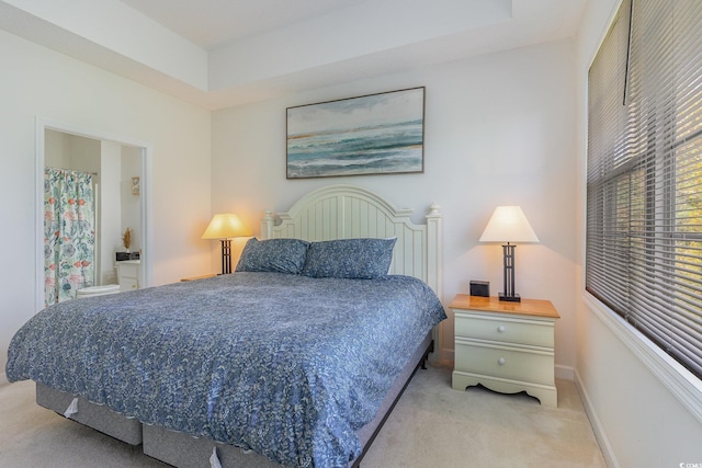 bedroom with light carpet and a raised ceiling