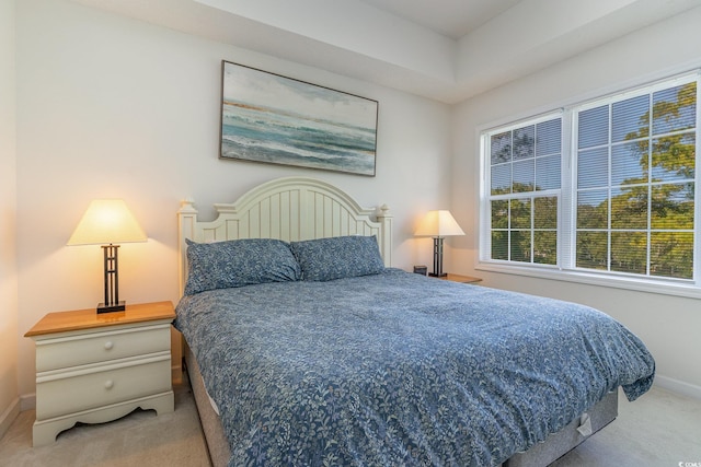 bedroom with multiple windows and light colored carpet